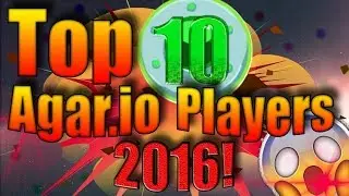 TOP 10 AGARIO PLAYERS 2016