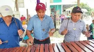 Pusila Abajo-Piesas