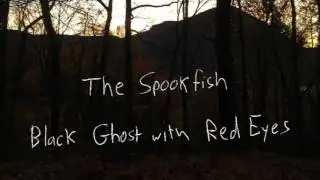 The Spookfish - Black Ghost with Red Eyes (Official Audio)