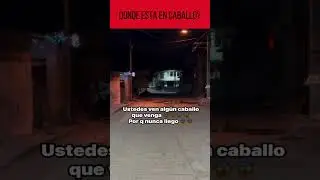 Donde esta el Caballo #shortsvideo #viral #shorts #viralreels #viralvideos #demonios #viralshort