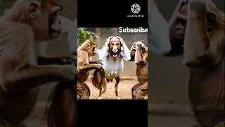 Monkey Bald Swipe Goat 🐐 🐒🐵|| Subscribe My Channel #funny #cuteanimals #viralvideo