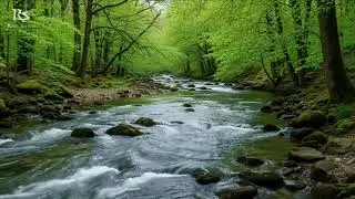 Natural River White Noise for Sleeping All Night Long | Gentle Continuous Water Flow