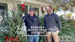 Beaches Museum Tree Delivery & Beaches North Express Info!
