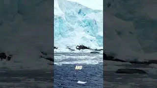 Секреты Антарктиды: разгадывая тайны самого холодного континента Земли