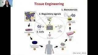 Nerve Guides as Nerve Tissue Engineering Biomaterials