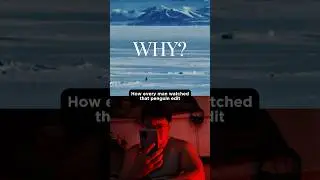 That Penguin Edit that Motivates Us to Chase Our Own Mountains #motivation #relatable #memes