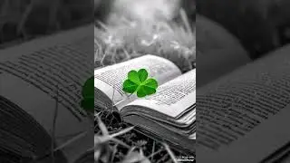 قراءة بالقاموس عامه/مظبوطه/100/100