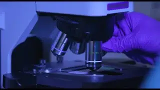 Male factor infertility: semen analysis and sperm washing