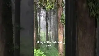 Day Trek to Tiger Hill | Darjeeling