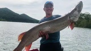 Musky Fishing with the Clatos Twins on Cave Run Lake