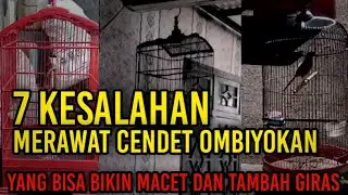 7 KESALAHAN MERAWAT 