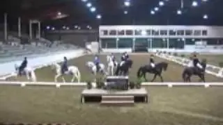 Black & White (Friesian & Andalusian) Quadrille