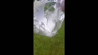 22 250 water bottle video
