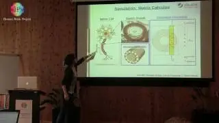Menzel Miriam: Simulation & modeling, reconstruction of nerve fibers (...)