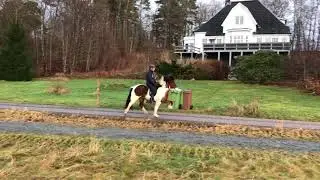 Rakel fr&aring;n Backome