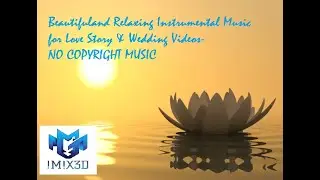 Beautiful and Relaxing Instrumental Music for Love Story & Wedding Videos - NO COPYRIGHT