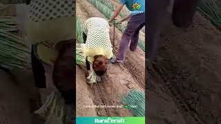 These Onion Planting Tools are Next Level GENIUS! 🌱🧅 #gardening #farming #diy #tools #satisfying