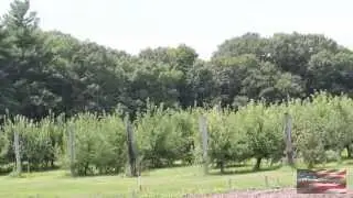 UAV-America Agricultural Use of Drones - Case Study