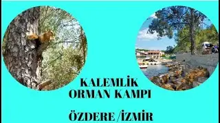Denizle Orman Bir arada;  KALEMLİK ORMAN KAMPI, &Ouml;ZDERE