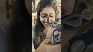 Go to trending 💚 @Zoophilist-Tamil  #python #petakka #zoophilist #trendingshorts #shorts #reptiles