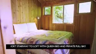 Deep Forest Cabins | Ashford, WA