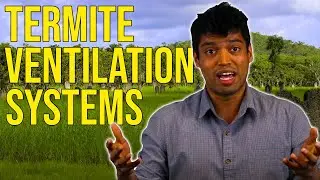 Natural Ventilation of Termite Mounds