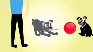 What is Tuggo dog toy? Tuggo explainer video