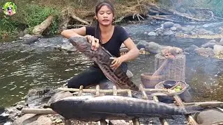 Amazing Fish skill! Catch and grill big fish for jungle survival food