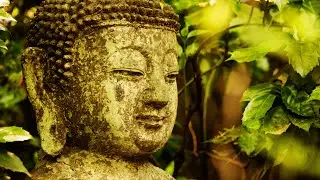 Conscious Journey | Calming Flutes