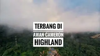 Terbang di Awan Cameron Highland #cameronhighland #fly #awan