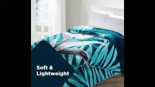 Big Bazaar || Blanket Offer || 21st Aug - 8th Sep