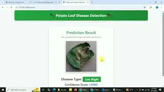 AI-Based Potato Leaf Disease Detection || How to Use CNN for Automated Plant Disease Detection