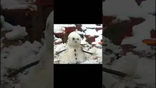 A BEAUTIFUL SNOW DAY  | MINI VLOG |&hearts;️&hearts;️#1million #viral1m #snowfall#beautiful  #kashmirsnowview