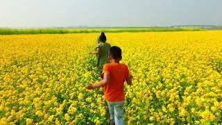 Two children are running happily through a mustard field.