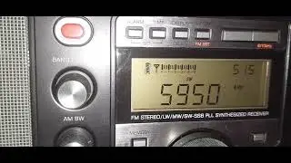 WRMI FL USA Cruisin' the Decades 0316utc 261025