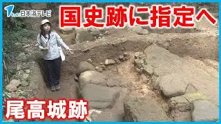 【尾高城跡】米子城跡に続き国史跡指定へ　「中世の土の城から石垣を持つ近世の城郭への移り変わりを示す重要な城跡」と高い評価　鳥取県米子市