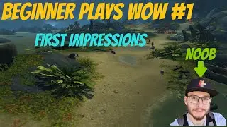 Beginner Plays WOW - World of Warcraft First Impressions #1