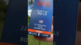 Shooting spicy BBs - the slowest .22 bullet