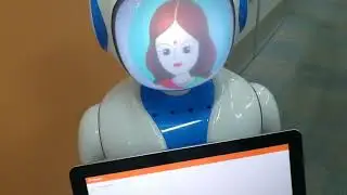 Smart Speech Assistant Software integration on Csjbot