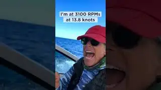 Sharrow Props at Fast Trolling #fishing #bostonwhaler