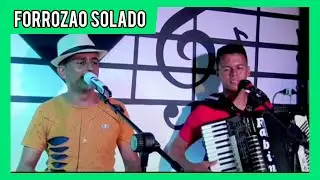 FABINHO DO ACORDEON - FORRÓ SOLADO ( Forró da Bagaceira )