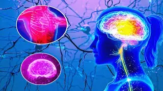 432Hz, Whole body regeneration ~ Infinite healing waves ~ Eliminating stress ~ Relax your mind