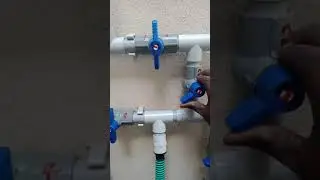 Mass yellow water purifiers