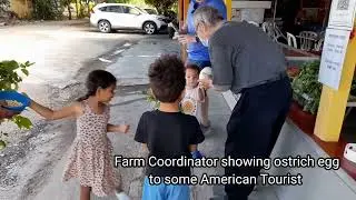 Desaru Johor Ostrich Farm tour