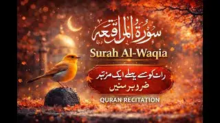 Surah Al-Waqiah| Chapter No: 56| سورۃ الواقعہ| Tilawat e Quran Studio