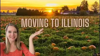 Moving to Illinois / What Illinois is known for / Living in Illinois / Illinois realtor