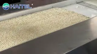 Rice candy production line原来大米还可以这样做糖