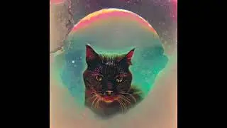 Cat Space Journey (the musical)