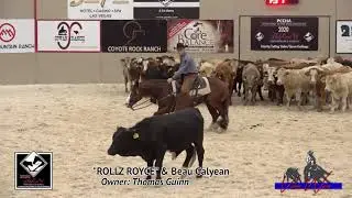 Beau Galyean Rollz Royce 2020 PCCHA Futurity Open Classic Challenge 1st Go