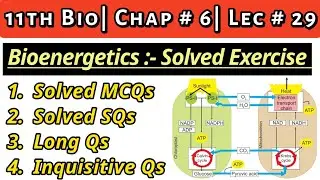 11th Bio| New Book| Bioenergetics| Ch # 7| Solved Exercise MCQs| Solved Short & Inquisitive Question